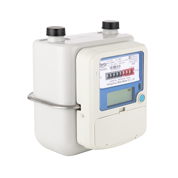 China OEM Diaphragm Gas Meter Pricelist –WG-N NB-IoT Wireless Smart Gas Meter – Holley detail pictures